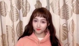 港媒爆料鹿晗视频大全,明星私生活曝光引热议”